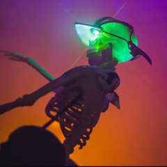 Halloween Party 10/26/24 - House set