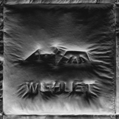 A_Phan - Sorry, Not Sorry In A Wave Of Disgust And Wish To Vomit