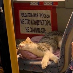 русская душа