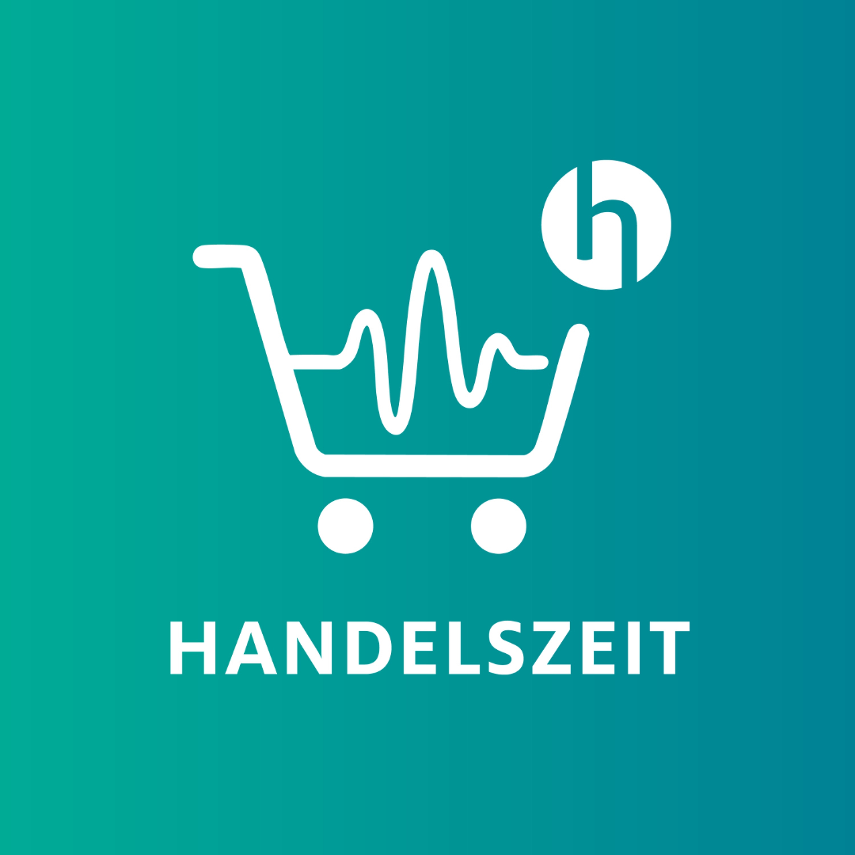 Handelszeit #013 – Wie unsere Innenstädte wieder Zukunft bekommen mit Michael Reink, HDE episode artwork