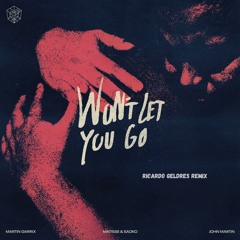 Won't Let You Go - Martin Garrix (Ricardo Geldres Remix)