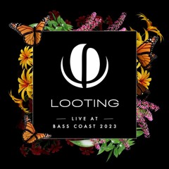 Looting Live at Bass Coast 2023
