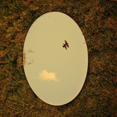 POLAROID (feat. Mugenshi)