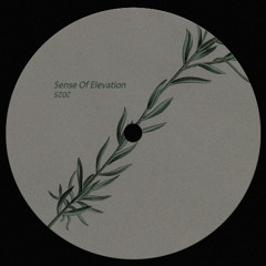 Simple Drift Phonk in a experimental EP