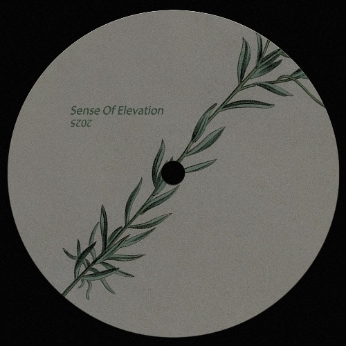 Simple Drift Phonk in a experimental EP