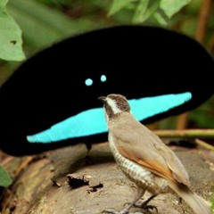 Live @ Idea Fab Labs 04-06-24