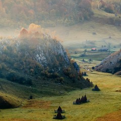 insidious Carpathian birb