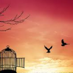 ephedra set [by uncle fredi]