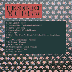 The Sound of You 035