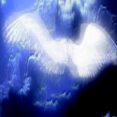 toxic (prod.abysshund)