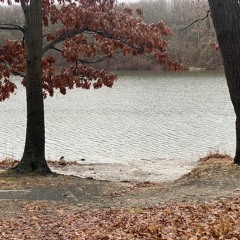 Ripples