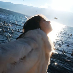 K1NG - AR15S (prod.govsensei)