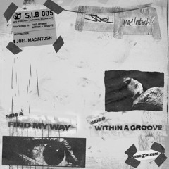 Find My Way / Within A Groove - EP [ S.I.B ]