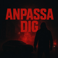 Anpassa dig