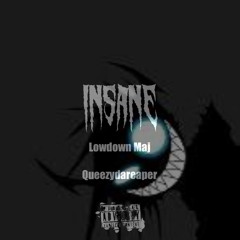 Insane lowdownmaj x Queezydareaper