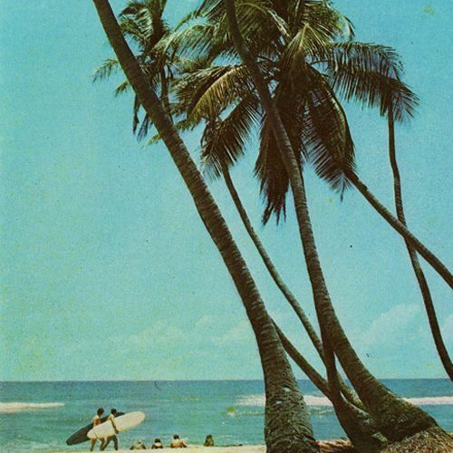 Love by the Shore