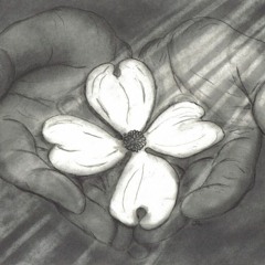 Chapter 4—Confession