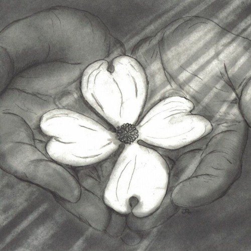 Chapter 4—Confession