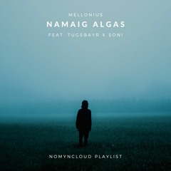 Maus InsØmny - Namaig Algas (Feat. Tugsbayr x Soni)