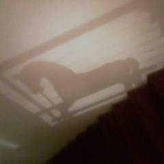 luv in my mentions w/ sidney phillips