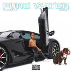Ozza - Pure Water (Remix)