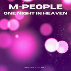 One Night In Heaven
