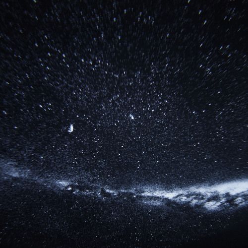Fireflies