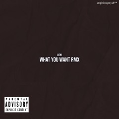 What You Want Rmx
