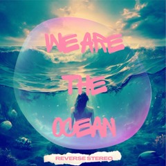 We Are The Ocean