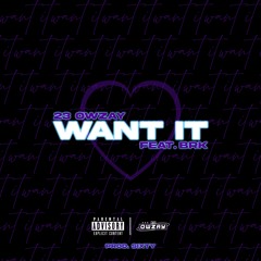 Want It (feat. BRK)
