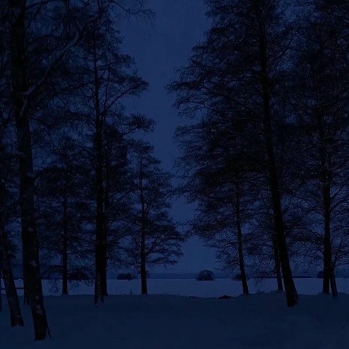 Posion Tree - Grouper x You Never Meet A 13 Year Old Girl