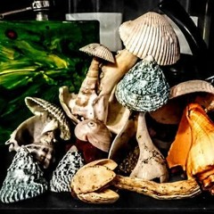 AKA Featuring Young Zee of the Outsidaz, Flow Durt, Kush and Dro. Prod by DJ Relic