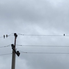 Где - То, Когда - Нибудь...