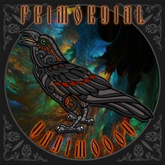 ❋ Primordial Podcast - Ep.14 - VadimoooV ❋