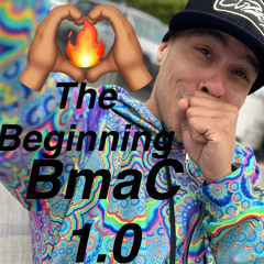 The Beginning1.0