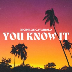 Nicholas Cavaiuolo - You Know It (Instrumental)
