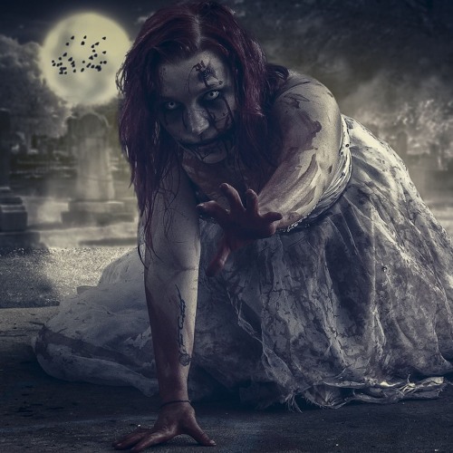 In The Shadows (2023) Anthology CD5 Track 12