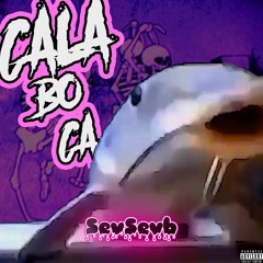 Cala Bo Ca | Brazilian Funk/Phonk