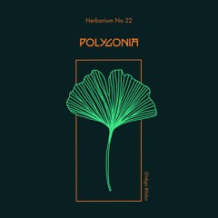 Herbarium No 22 - Polygonia - Ginkgo Biloba