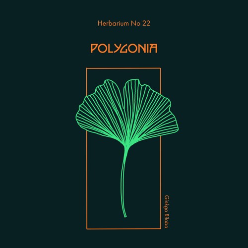 Herbarium No 22 - Polygonia - Ginkgo Biloba