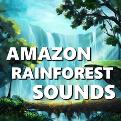 Spellbinding Rainforest Sounds
