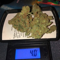DLM - OG KUSH