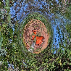 Ancestrais - W-Black feat. Leonicio e Ludik (prod. Dbob | 360k Estúdio)