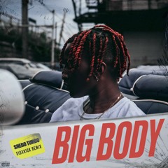 SheGo Turbo - Big Body (Sidxkick Remix)
