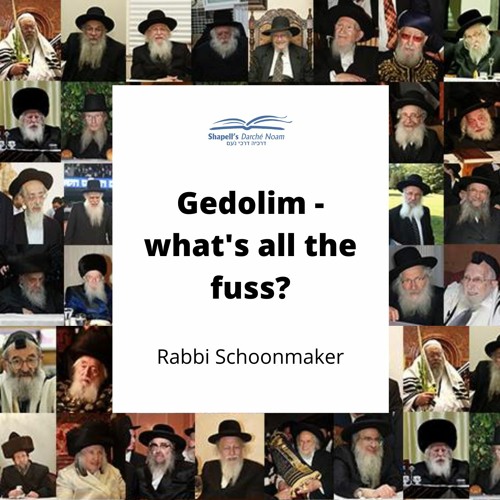 Rabbi Schoonmaker - Gedolim: What's All The Fuss?