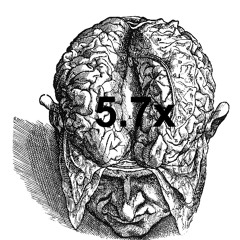 5.7x