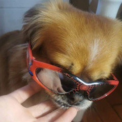 play this in your dad's garage