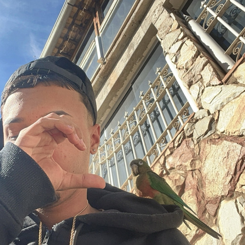 MTG - HOJE EU VOU COMER BUCETA - MC KALZIN, MC XANGAI & B7 - DJ GUIZIM