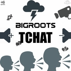 Bigroots_Tchat