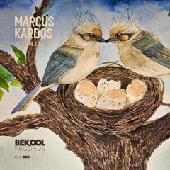 Marcus Kardos - Blessful Lights (Original mix)